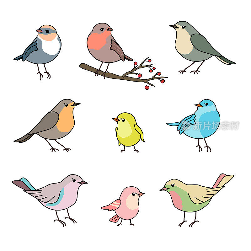 可爱的集合集合9各种手绘彩色鸟类，黑色轮廓，柔和的颜色，孤立在白色背景。EPS 10矢量插图
